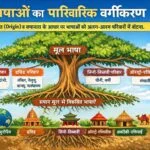 भाषाओं का पारिवारिक वर्गीकरण